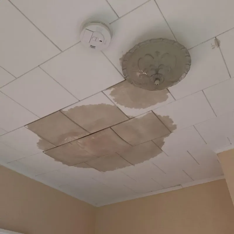 Ceiling Water Damage Repair in Lake Lotawana, MO