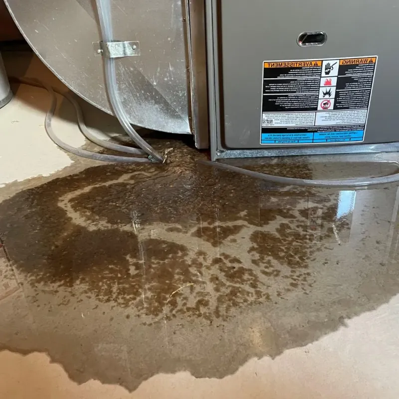 Pipe Burst and Leak Restoration in Lake Lotawana, MO