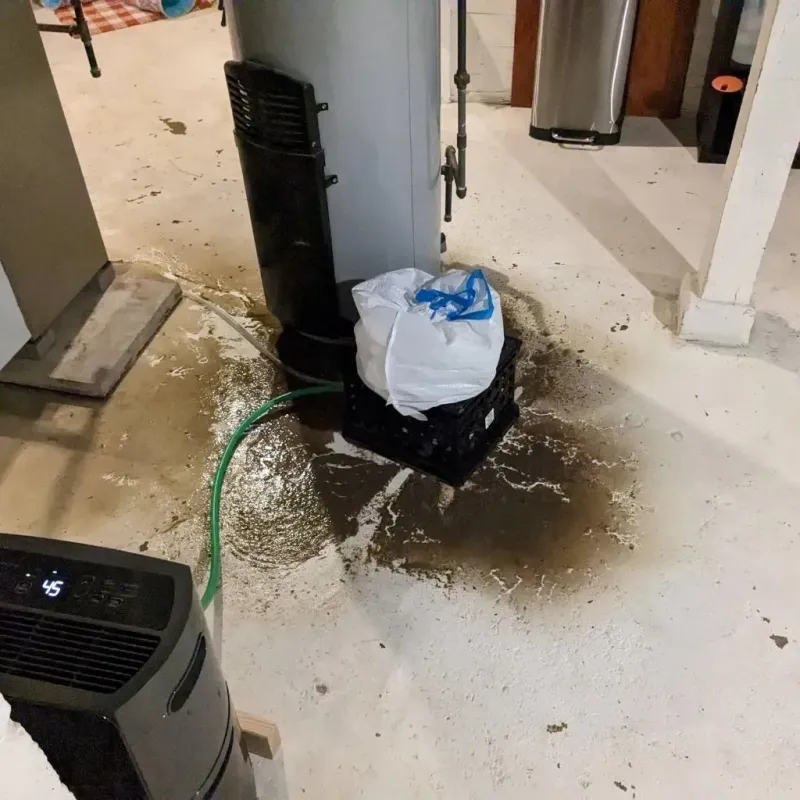 Sewage Backup Cleanup Service in Lake Lotawana, MO